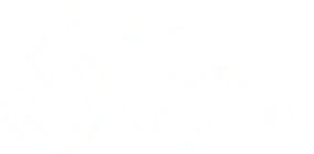 Central Cleaning Supplies