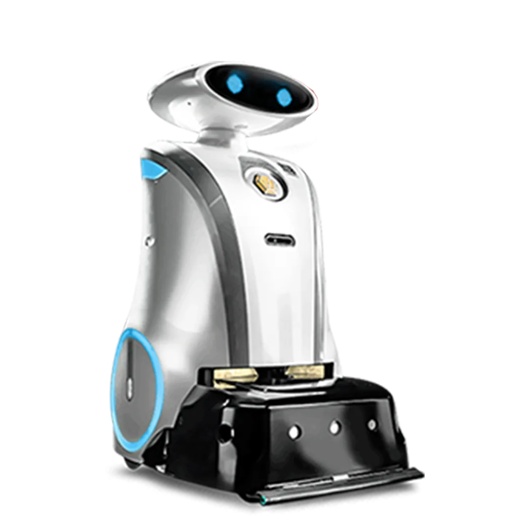 LionsBot Leobot